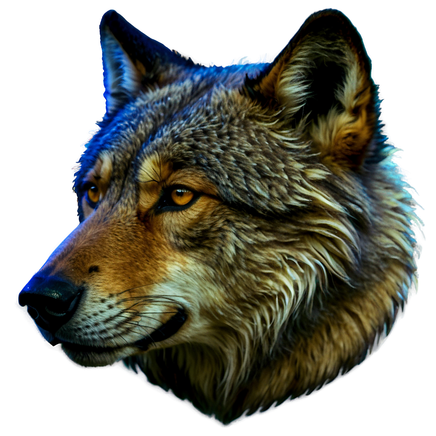 Wolf Head Spirit Animal Guide Png Xur PNG Image