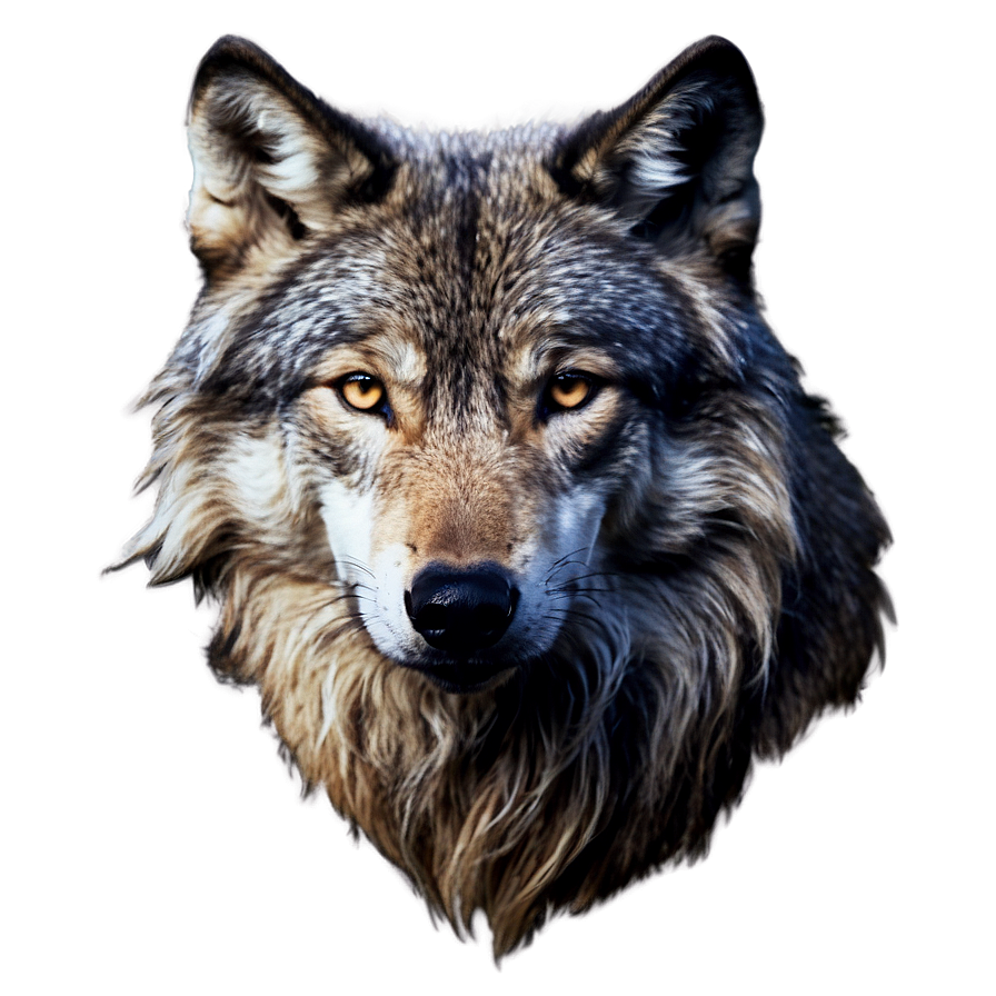 Wolf Spirit Animal Guide Png Erb PNG Image