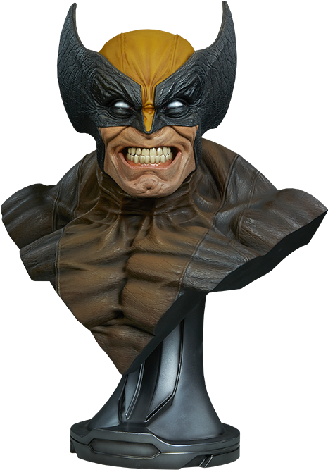 Wolverine Bust Figure Snarl PNG Image