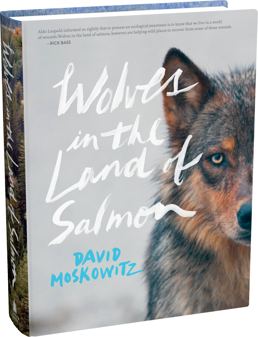 Wolvesinthe Landof Salmon Book Cover PNG Image