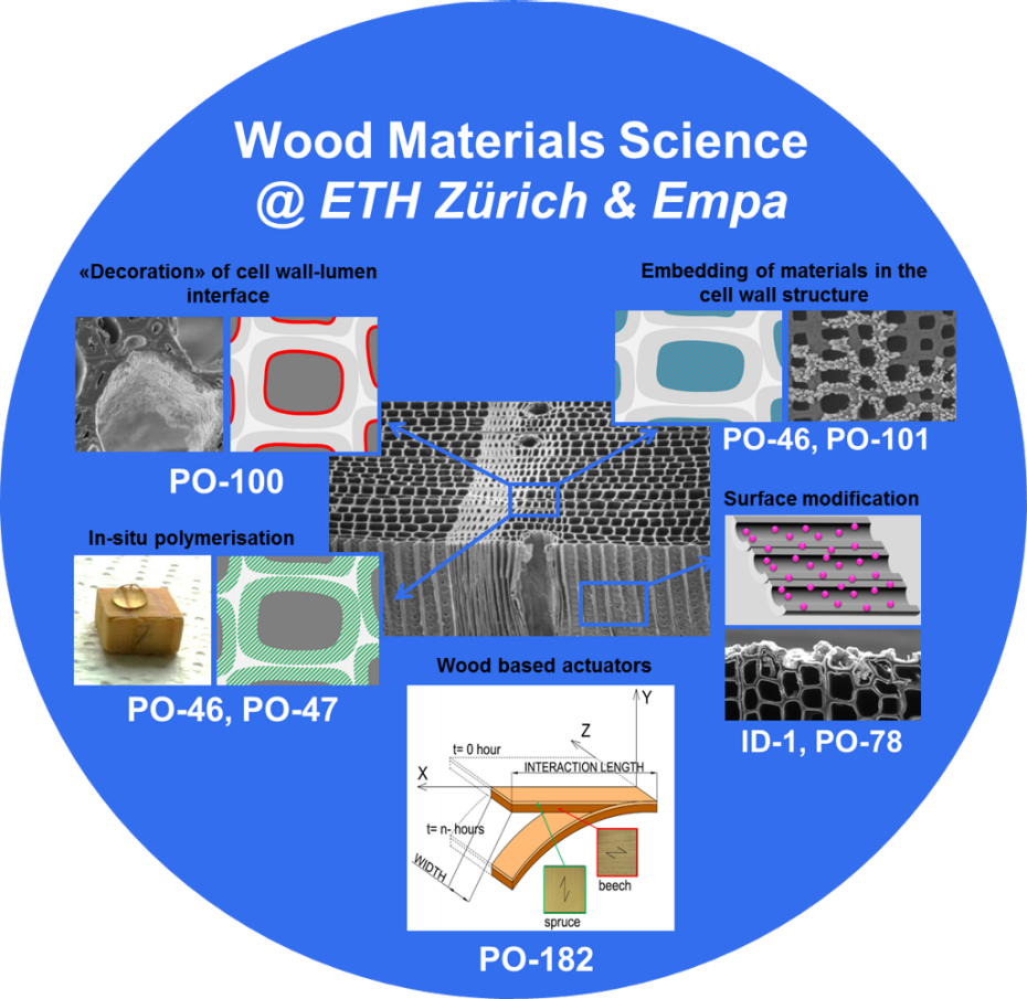 Wood Materials Science Research Poster PNG Image