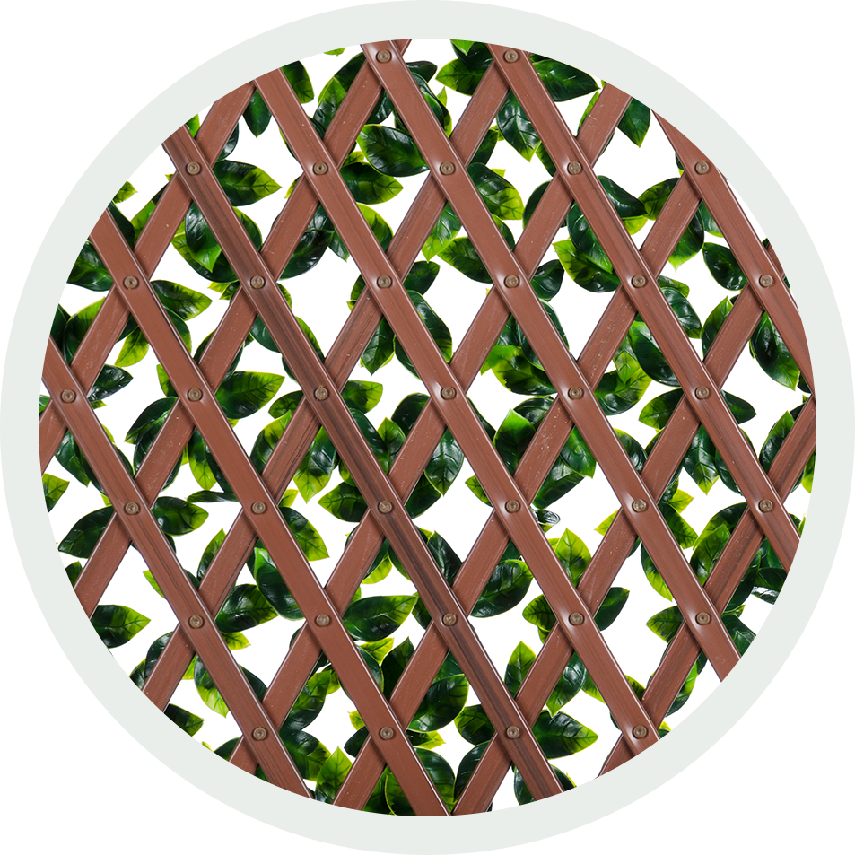 Wooden Latticewith Green Leaves PNG Image