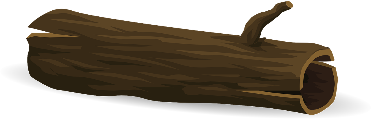 Wooden Log Illustration PNG Image