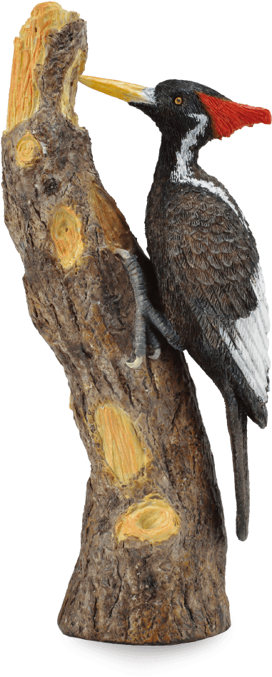 Woodpecker On Tree Trunk PNG Image