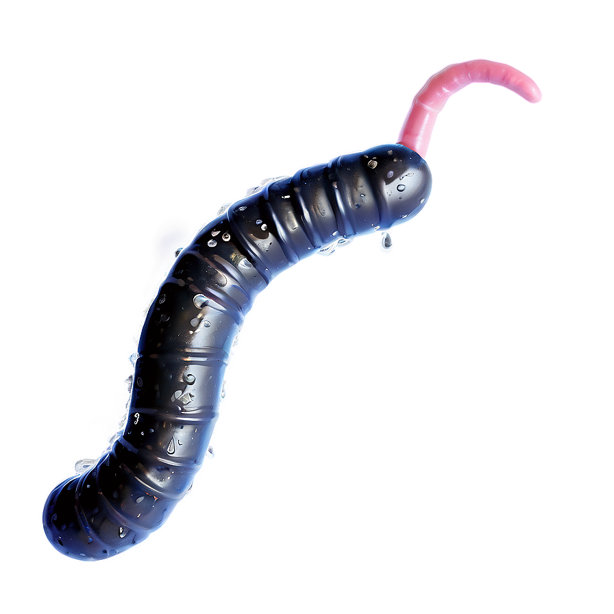 Worm In Rainy Weather Png 49 PNG Image