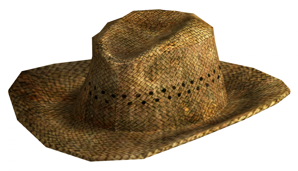 Woven Straw Hat Isolated PNG Image