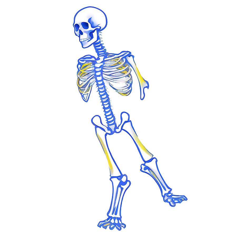 X-ray Bones Png Jyq8 PNG Image