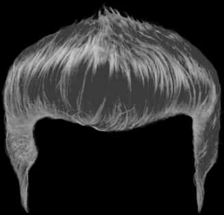 X Ray Style Hair Texture PNG Image