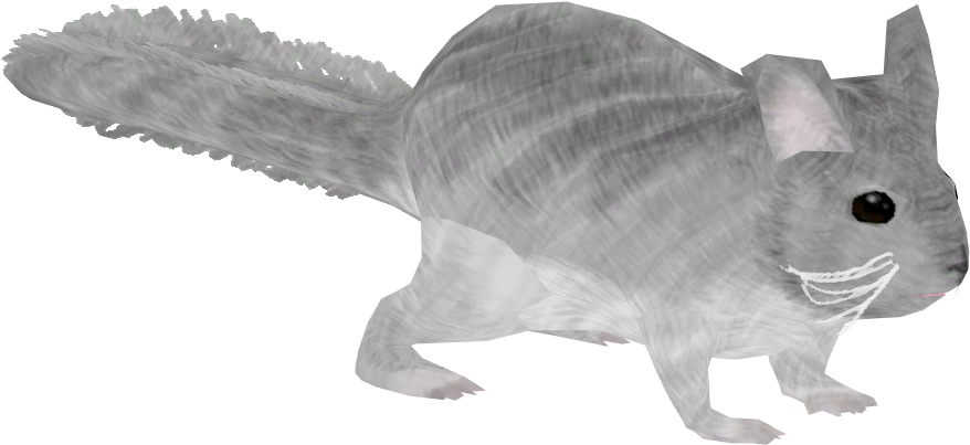 Xray Chinchilla Profile PNG Image