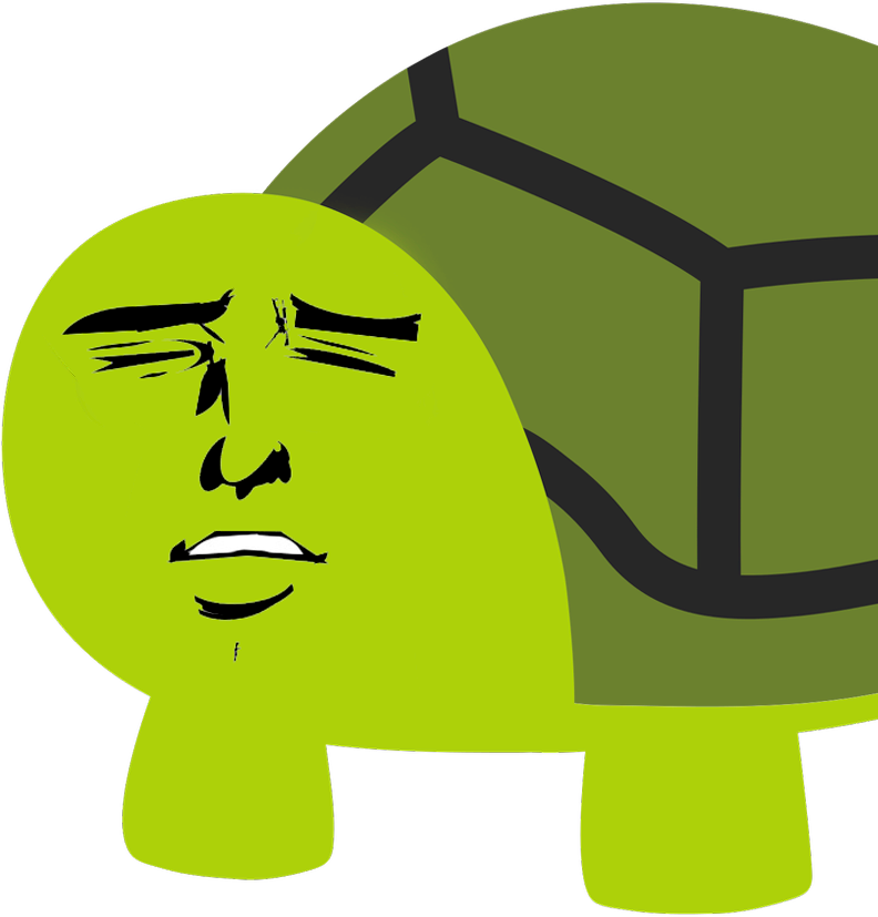 Yaranaika Turtle Fusion Art PNG Image