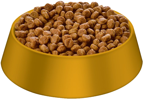 Yellow Bowl Fullof Dog Food PNG Image