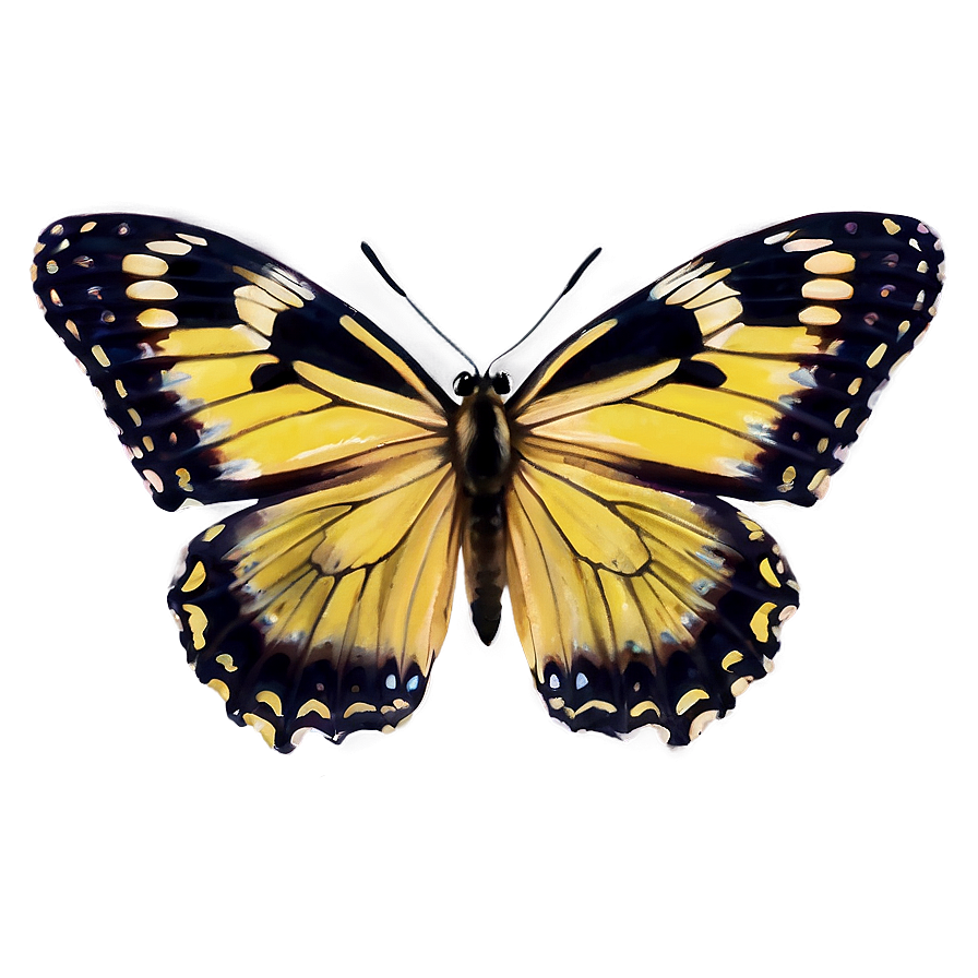 Yellow Butterfly Close-up Png 06292024 PNG Image