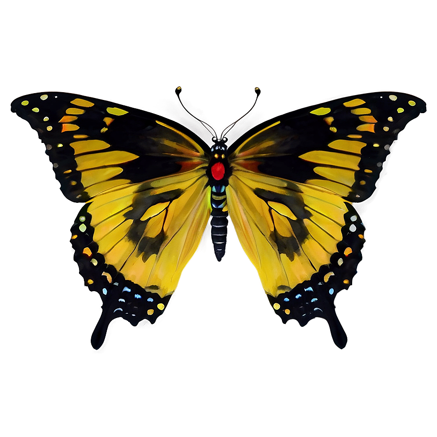 Yellow Butterfly Duo Png 72 PNG Image