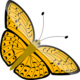 Yellow Butterfly Illustration PNG Image