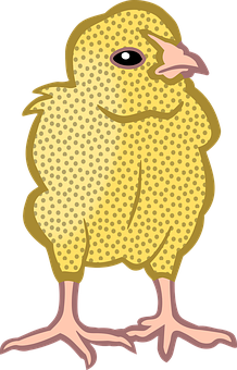 Yellow Chick Cartoon Illustration PNG Image