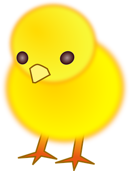 Yellow Chick Cartoon Illustration PNG Image