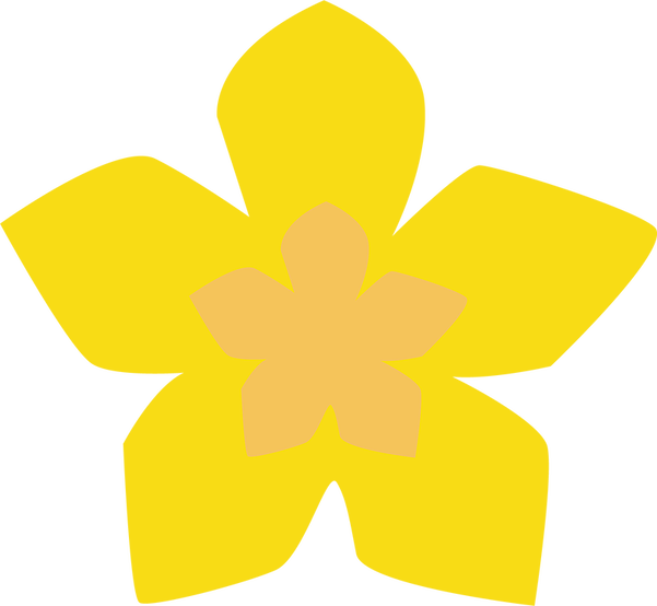 Yellow Daffodil Graphic PNG Image