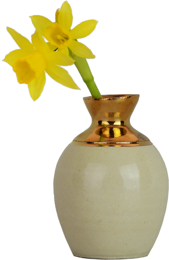 Yellow Daffodilin Vase PNG Image