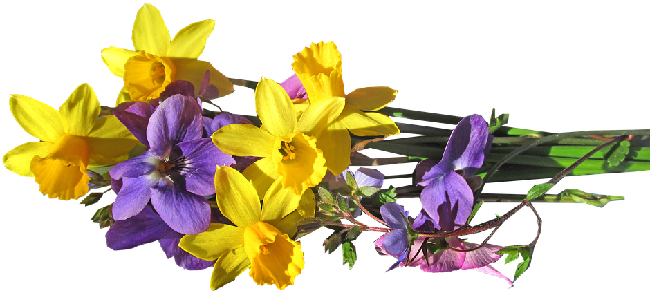 Yellow Daffodils Purple Flowers Bouquet PNG Image