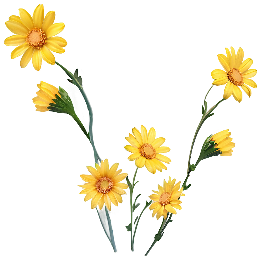 Yellow Daisy Flowers Png 58 PNG Image