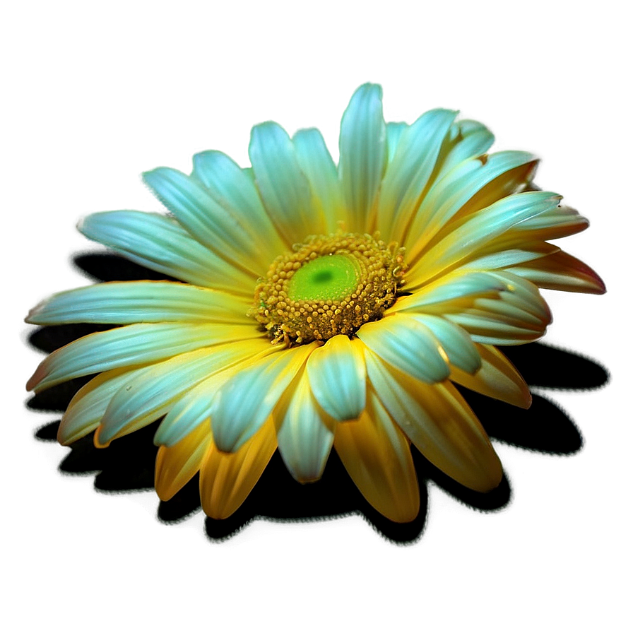 Yellow Daisy Glowing Effect Png 59 PNG Image