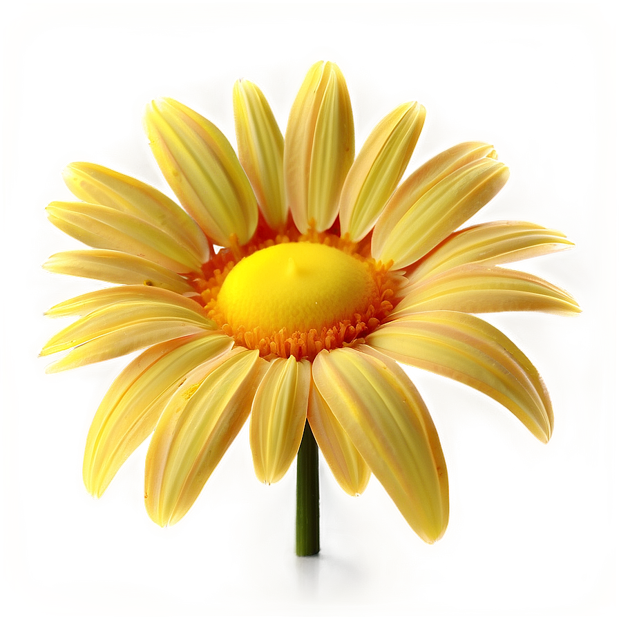 Yellow Daisy Glowing Effect Png Hse PNG Image