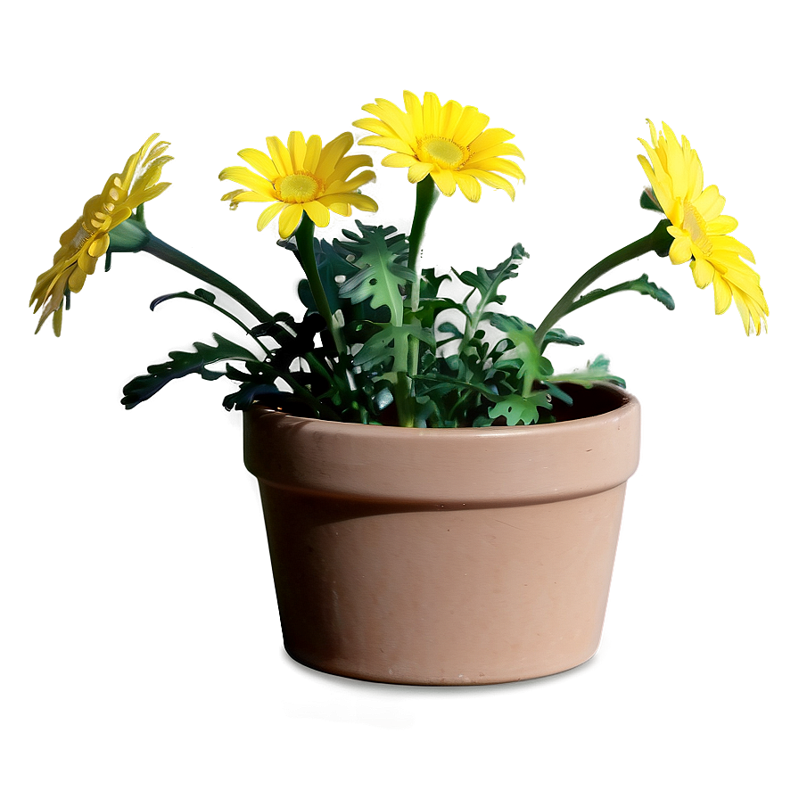 Yellow Daisy In Pot Png Wnn PNG Image