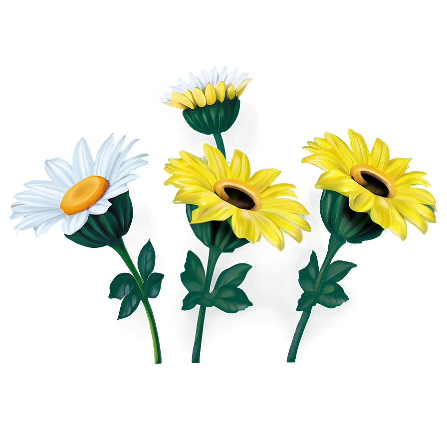 Yellow Daisy Png 2 PNG Image