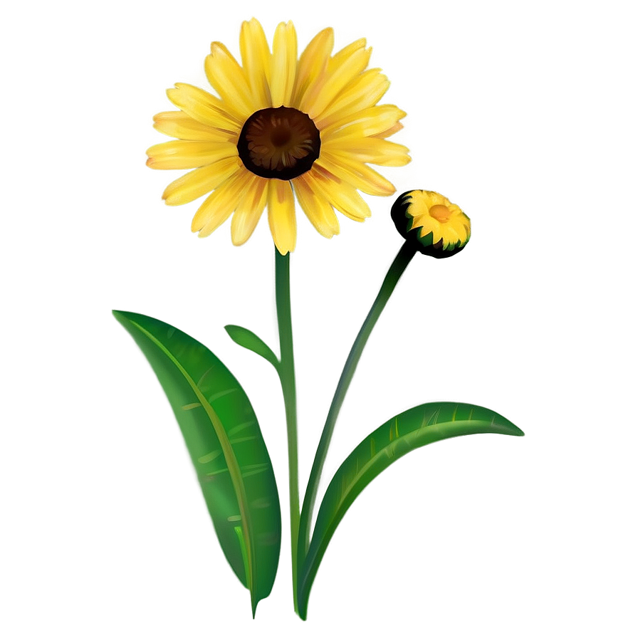 Yellow Daisy Silhouette Png Sqv42 PNG Image