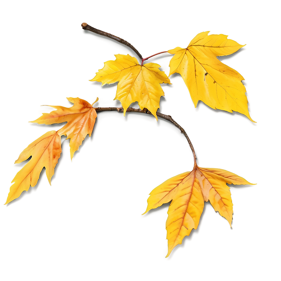 Yellow Fall Leaves Png Brk PNG Image