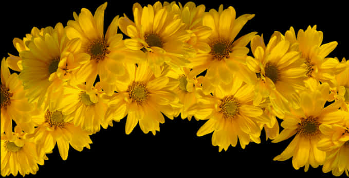 Yellow Floral Crownon Black Background PNG Image