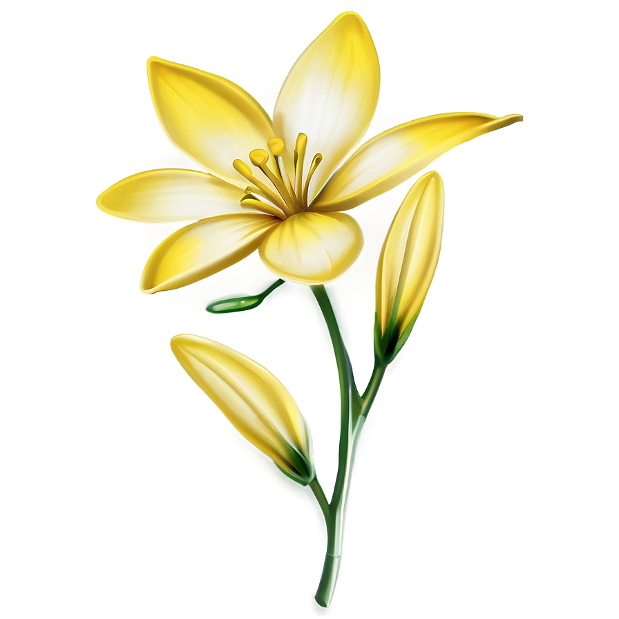 Yellow Flower Closeup Png 06122024 PNG Image