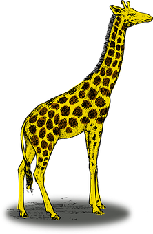 Yellow Giraffe Graphic Illustration PNG Image