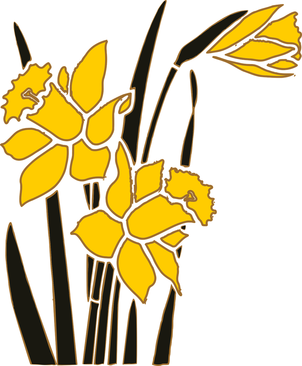 Yellow Narcissus Floral Illustration PNG Image