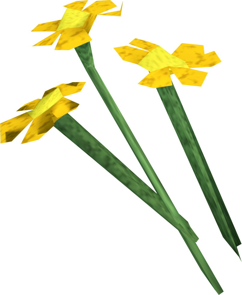 Yellow Narcissus Flowers3 D Rendering PNG Image