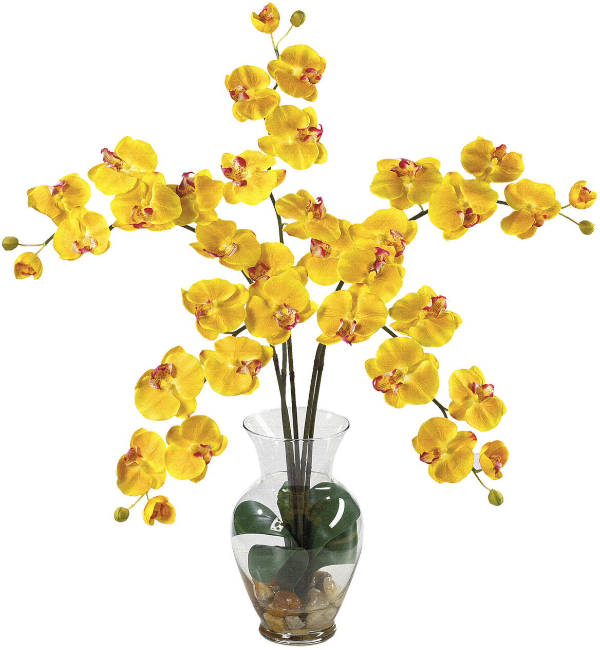 Yellow Orchidsin Glass Vase PNG Image