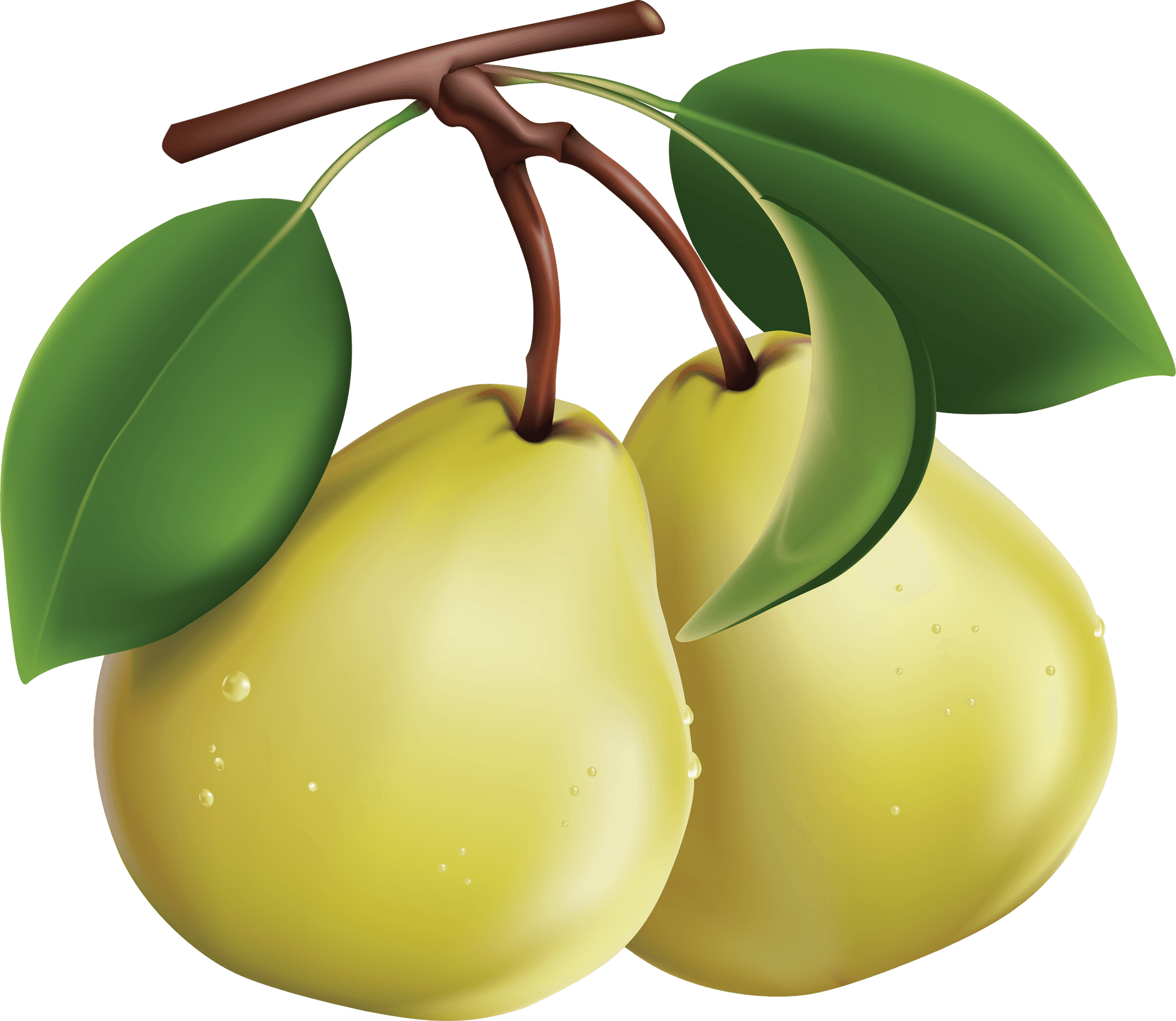 Yellow Pears With Leaves Vector PNG Image