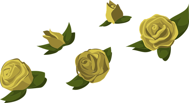 Yellow Roses Black Background PNG Image