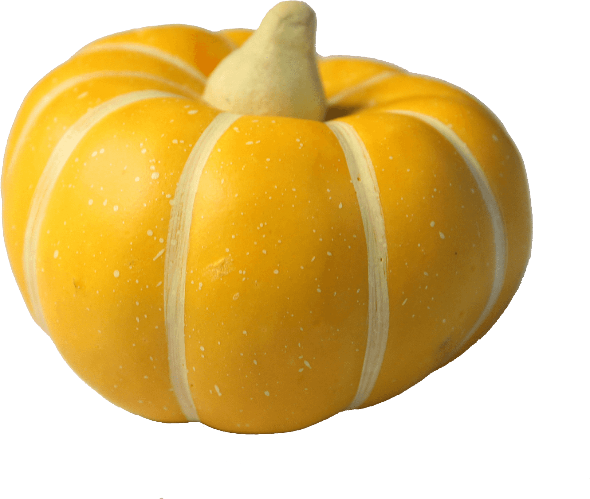 Yellow Squash Vegetable.png PNG Image