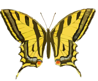 Yellow Swallowtail Butterfly Illustration PNG Image