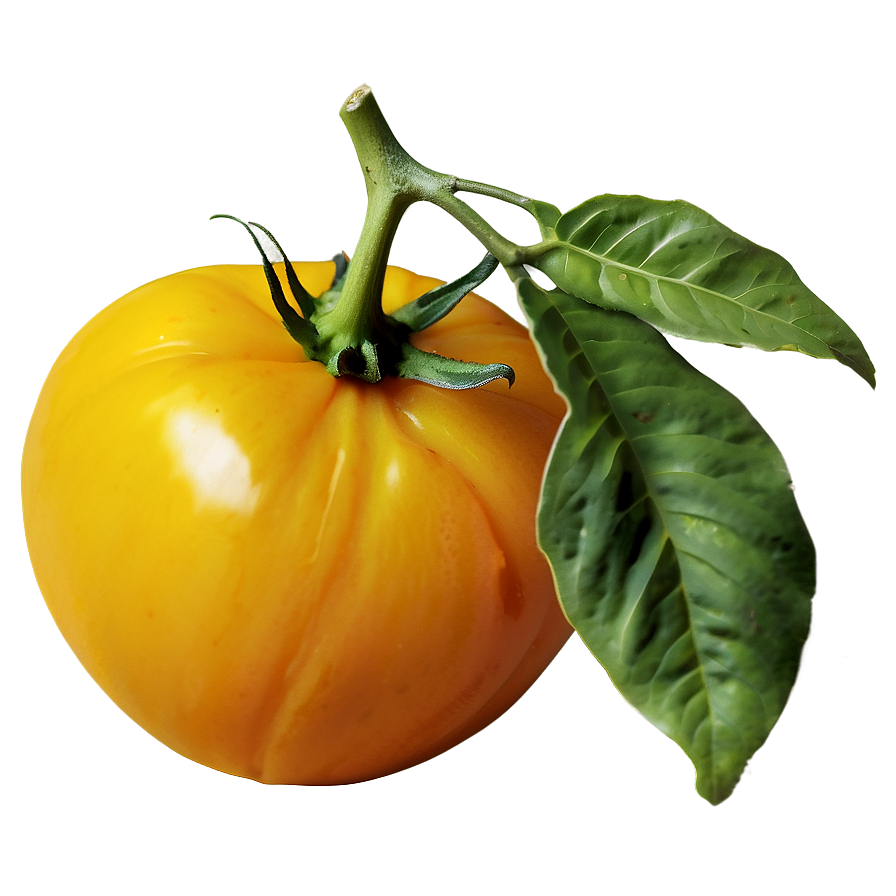 Yellow Tomato Png 7 PNG Image