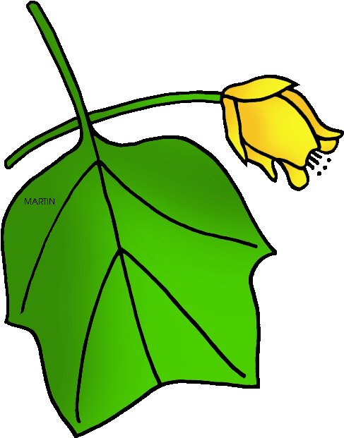 Yellow Tulip Cartoon Illustration PNG Image