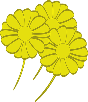 Yellow Vector Daisies PNG Image