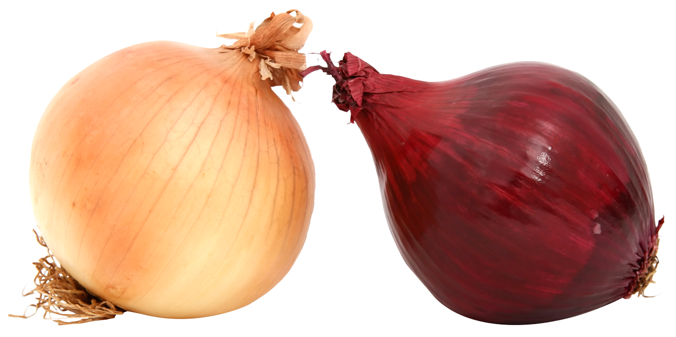 Yellowand Red Onions PNG Image