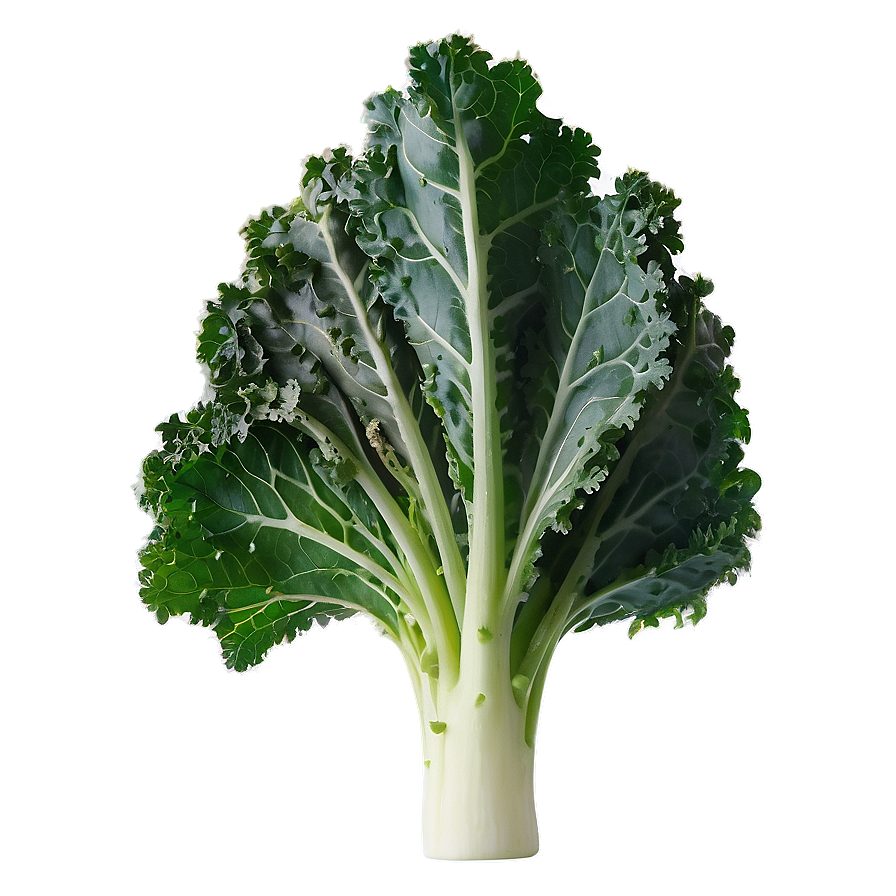 Young Kale Png Bhq PNG Image