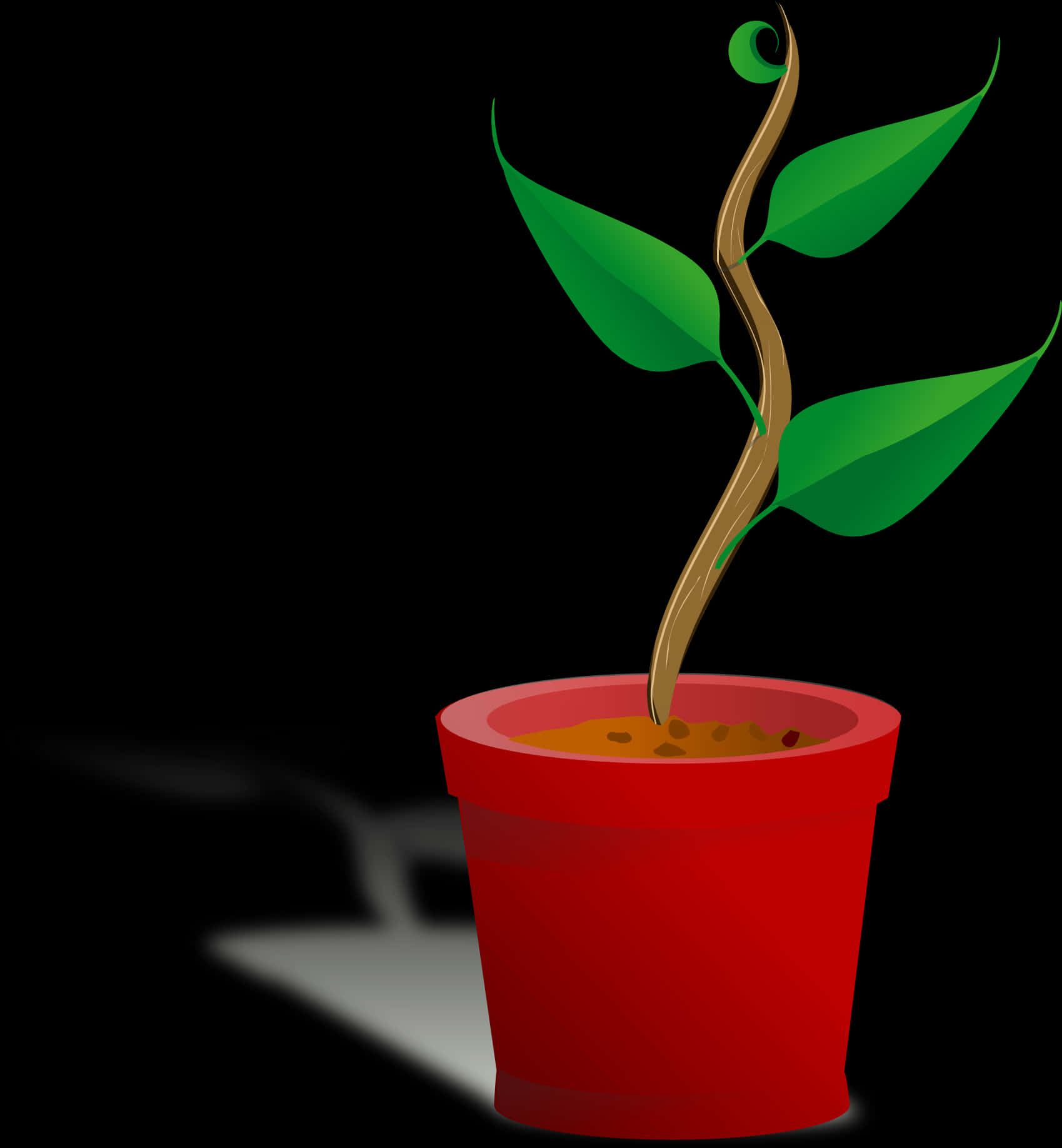 Young Plantin Red Pot PNG Image