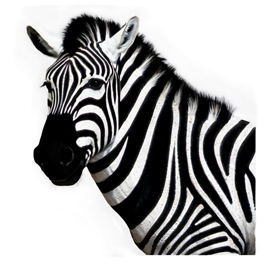 Zebra Emoji Png 53 PNG Image