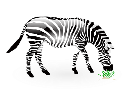 Zebra Illustration Black Background PNG Image