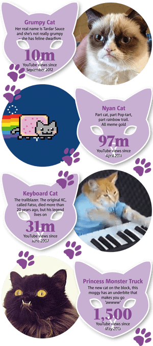 0306 Internet Cats - Nyan Cat, HD Png Download PNG image with transparent background