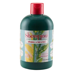 2 In 1 Shampoo Bottle Png 06132024 PNG Image